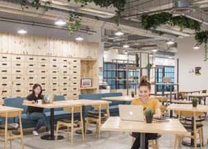 The Hive Lavender Hot Desk- Coworking Singapore